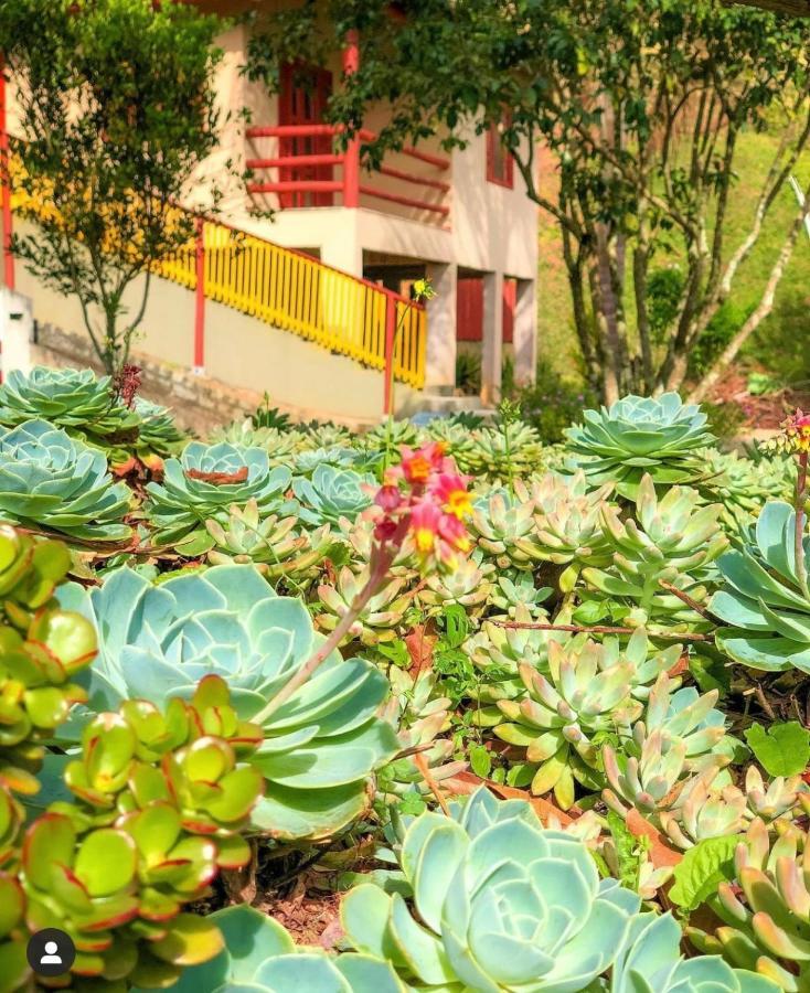 Sitio Dos Palmitos - Casa Pupunha Otel Pedra Azul  Dış mekan fotoğraf